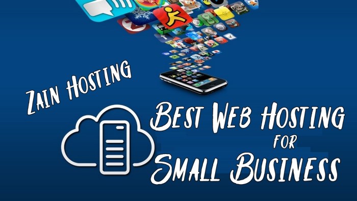 Small hosting web business