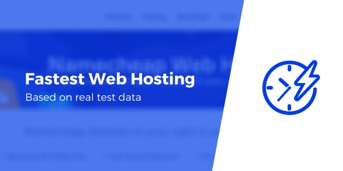 Hosting providers