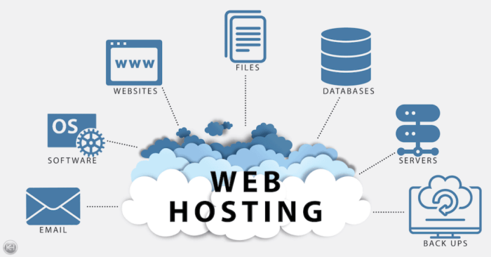 Dedicated server website hosting